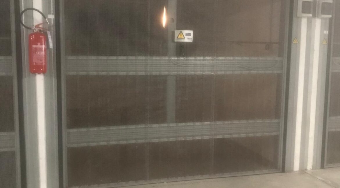 WhatsApp Image 2026-01-07 at 10.38.56