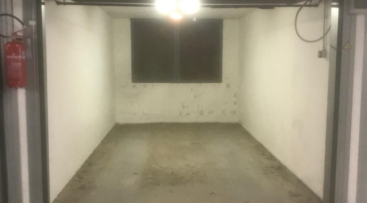 WhatsApp Image 2026-01-07 at 12.33.11 (2)