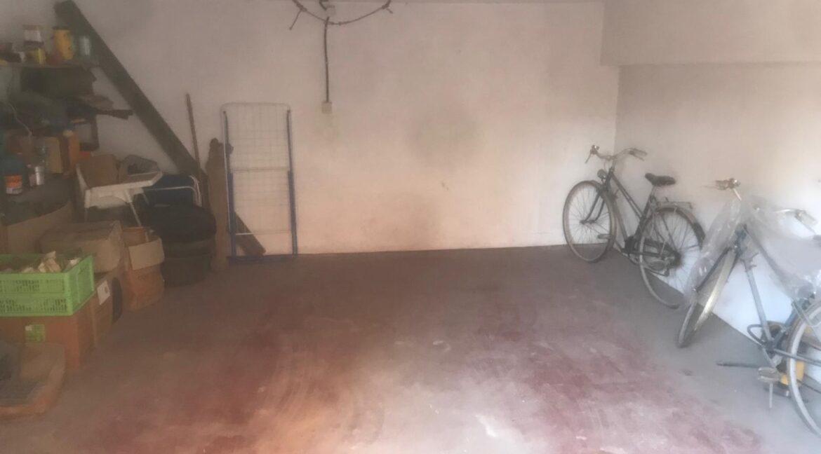 WhatsApp Image 2026-01-11 at 17.37.04 (8)