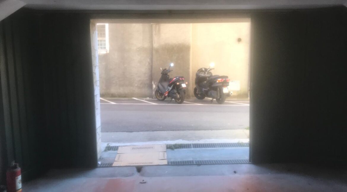 WhatsApp Image 2026-01-11 at 17.37.05